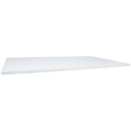 Home4You Ergo Height Adjustable Desk Top 160x80cm, White (37359) | Tables | prof.lv Viss Online