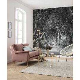 KOMAR Stefan Hefele Forevenue Photo mural Non-woven 250x280cm, 7m2 (5 panels) SHX5-033 | Photo wallpapers | prof.lv Viss Online