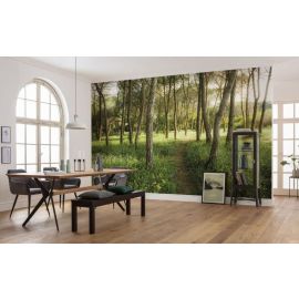 Komar Stefan Hefele Flower Magic Forest Photo Wallpaper on Non-woven Base 450x280cm, 12.6m2 (9 panels) SHX9-011 | Komar | prof.lv Viss Online
