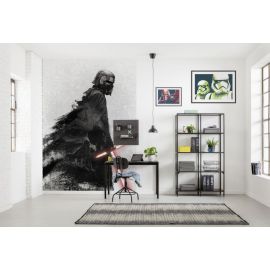 Флизелиновые фотообои Komar Disney Star Wars Kylo Vader Shadow 200x280 см, 5,6 м2 (4 полотна) DX4-074 | Обои | prof.lv Viss Online