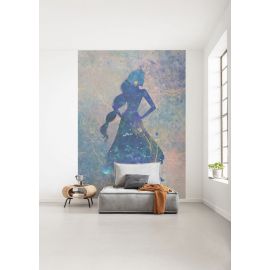 Флизелиновые обои Disney Jasmine Silhouette с изображением Джасмин размером 200x280 см, 5,6 м2 (4 полосы) DX4-081 | Обои | prof.lv Viss Online