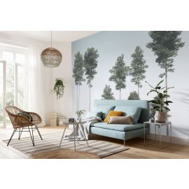 KOMAR Raw Pines Photo mural Non-woven 400x280cm,  11,2 m2 (4 panels) R4-040 | Photo wallpapers | prof.lv Viss Online