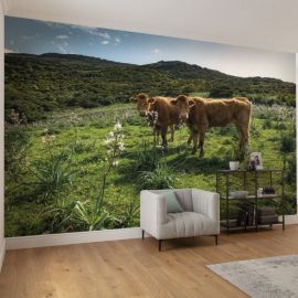 KOMAR Stefan Hefele Kuhparadies Photo mural Non-woven 450x280cm, 12,6m2 (9 panels) SHX9-051 | Komar | prof.lv Viss Online