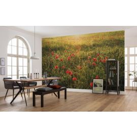KOMAR Stefan Hefele Poppy World I  Photo mural Non-woven 450x280cm, 12,6m2 (9 panels) SHX9-071 | Photo wallpapers | prof.lv Viss Online