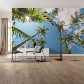 KOMAR Stefan Hefele Coconut Heaven II Photo mural Non-woven 450x280cm, 12,6m2 (9 panels) SHX9-107 | Photo wallpapers | prof.lv Viss Online