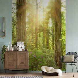 KOMAR Stefan Hefele Redwood Photo mural Non-woven  200x250cm, 5m2 (2 paneles) SH019-VD2 | Photo wallpapers | prof.lv Viss Online