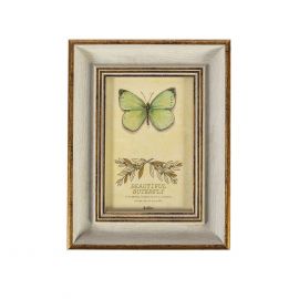 Home4You DRAGON FLY Photo Frame, 17x21.5cm, antique white/ gold (84366) | Picture frames | prof.lv Viss Online