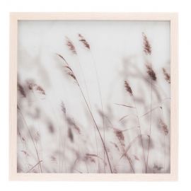 Ankle with calm barley 43x43cm (008193)(311805) | Interior items | prof.lv Viss Online