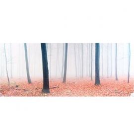 Photoglass Forest Full of Fog 50x112.5cm (189315)(70192014) | Interior items | prof.lv Viss Online