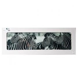Glass photo frame ZEBRA 33x95cm (189389)(70775026) | Wall paintings and pictures | prof.lv Viss Online