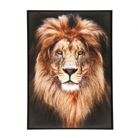 Glezna ar rāmi 4Living Lauva 50x70cm (008428)(324595) | Sienas gleznas | prof.lv Viss Online