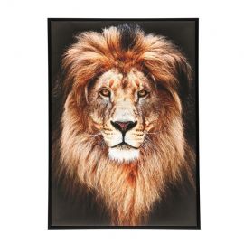 Ankle with a Calm Lion 50x70cm (008428)(324595) | Interior items | prof.lv Viss Online