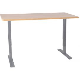 Home4You Ergo Electric Height Adjustable Desk, With 2 Motors, Grey/Maple | Office tables | prof.lv Viss Online
