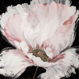 Картина маслом Home4You 100x100 см, белый цветок (85293) | Картины | prof.lv Viss Online