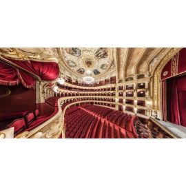Опера Стеклянная фотогалерея 140x70см (OPERA140) | Предметы интерьера | prof.lv Viss Online
