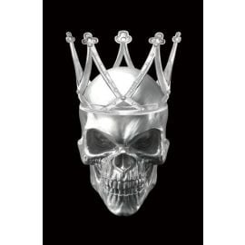 Скелет черепа II Стеклянная фотоглезна 80x120см (SKULLII80) | Картины | prof.lv Viss Online