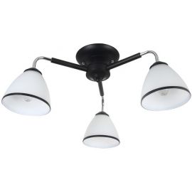 Elva Ceiling Lamp 60W, E27 Black/White (148469) | Lighting | prof.lv Viss Online