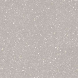 Paradyz Ceramika Moondust Grīdas Flīzes Silver Polpoler 59.8x59.8cm (637337) | Grīdas flīzes | prof.lv Viss Online