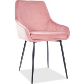 Signal Albi Kitchen Chair Pink | Signal | prof.lv Viss Online