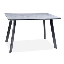 Стеклянный стол Signal Samuel 120x80 см, белый/черный | Signal | prof.lv Viss Online