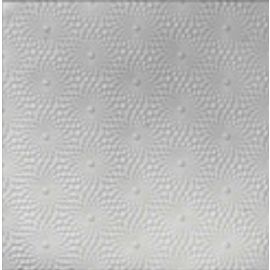 Эрма 08-96 Пластиковые потолочные панели 50X50см, 0.25м2 | Erma | prof.lv Viss Online