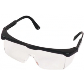 Richmann Protect Safety Glasses Clear/Black (C0002) | Protect goggles | prof.lv Viss Online