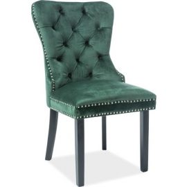 Signal August Kitchen Chair Green | Kitchen chairs | prof.lv Viss Online