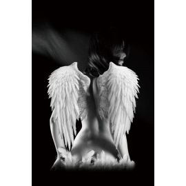 Signal Angel Glass Photo Frame 80x120cm (ANGEL80) | Wall paintings and pictures | prof.lv Viss Online