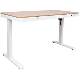 Home4You Ergo Electric Height Adjustable Desk 120x70cm White (18705) | Office tables | prof.lv Viss Online