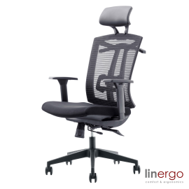 Linergo Patrick Ergonomic Office Chair Black | Office chairs | prof.lv Viss Online
