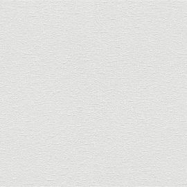 Krāsojamās Flizelīna Tapetes Rasch Wallton 106x2500cm (183610) | Flizelīna tapetes | prof.lv Viss Online