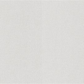 Krāsojamās Flizelīna Tapetes Rasch Wallton 106x2500cm (173703) | Flizelīna tapetes | prof.lv Viss Online
