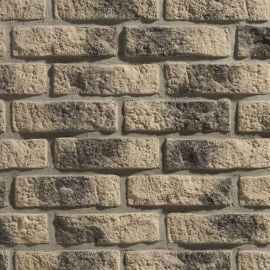 Stegu cladding brick tiles Rustik | Facade tiles | prof.lv Viss Online