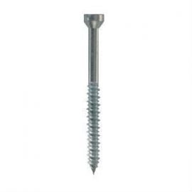Wkret-met Screw for Roof Insulation Anchor (Concrete) Torx | Roof insulation dowels | prof.lv Viss Online