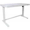Home4You Ergo Electric Height Adjustable Desk 120x60cm, White (18695)