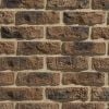 Stegu Rustik 568 facing brick tiles, 205x60x10-28mm (1m2)