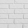 Stegu Parma 1 decorative brick tiles, white, 224x76x10-22mm (0.5m2)