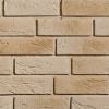 Stegu Parma 2 facing brick tiles, beige, 224x76x10-22mm (0.5m2)