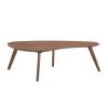 Home4You Scarlette Coffee Table, 120x60x38cm, Walnut (20996)