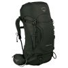 Рюкзак Osprey Kestrel 38 M/L Picholine Green (34258)