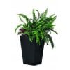 Keter Flower Pot Rattan Planter S, 23.6L, 28.5x28.5xH43.5cm, Grey (29192300939)