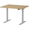Martin Electric Height Adjustable Desk 100x80cm Grey/Oak (28-0694-19)