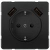 Siemens Delta Style Flush-mounted Socket Outlet with 2 USB Ports and Earth, Black (5UB1870-0AC01)