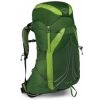 Osprey Exos 48 Backpack S Tunnel Green (35427)