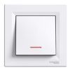 Schneider Electric Asfora Touch Switch with Frame and Indicator Light, White (EPH1500321)