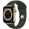 Apple Watch Series 6 Cellular Смарт-часы 44 мм Золотистый/Кипрский зеленый (1908047)