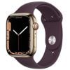 Viedpulkstenis Apple Watch Series 7 Cellular 45Mm Gold/Dark Cherry (2309865)