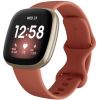 Fitbit Versa 3 Pink Clay/Soft Gold Smartwatch (FB511GLPK)