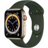 Apple Watch Series 6 Cellular 40 мм Золотистый/Кипрской зелени