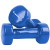 Insportline Smoothbell Monolithic Dumbbell Set 2x 2kg Blue (178)